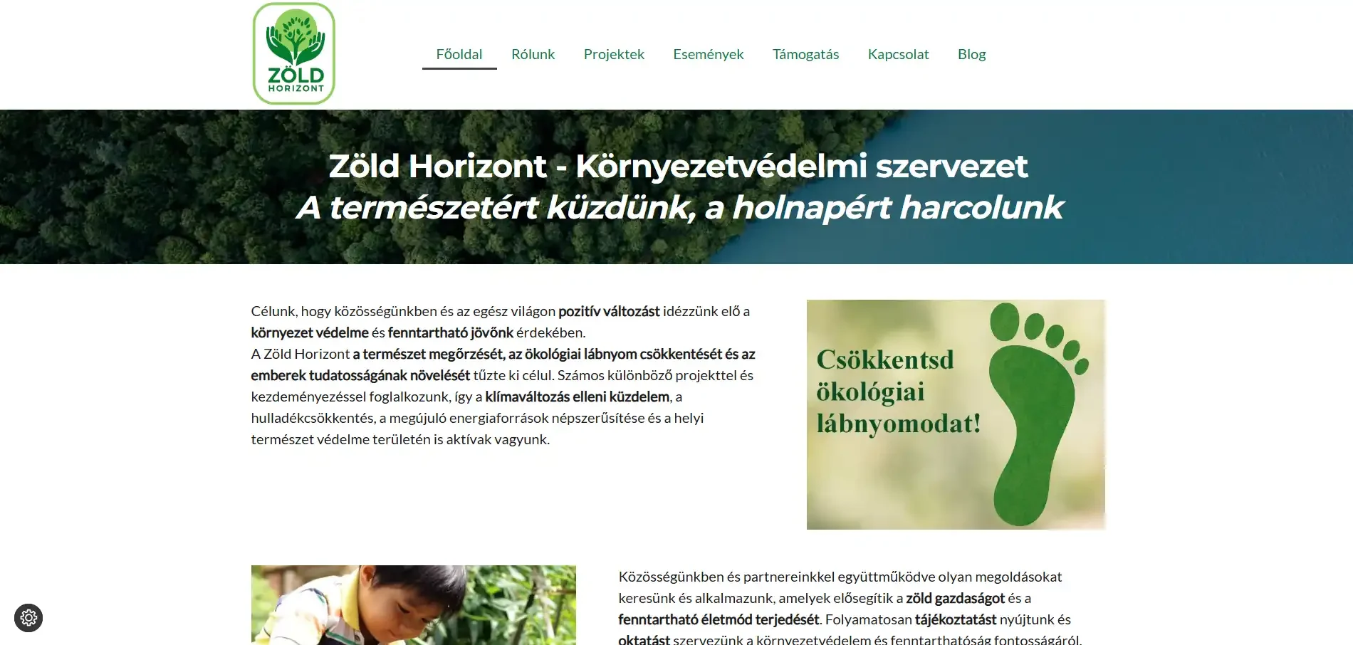 Modern, reszponzív WordPress weboldal tervezés és technikai optimalizálás